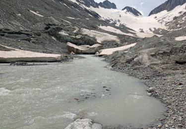 Tour Wandern Guttannen - glacier d'Oberaarhon - Photo