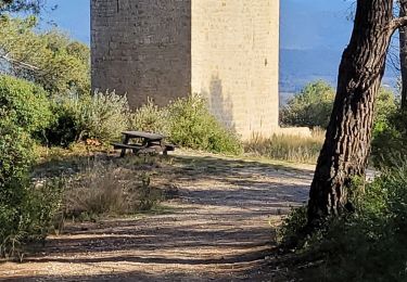 Trail Walking Puget-Ville - les hauts de Puget ville, carnoules, rocbaron - Photo