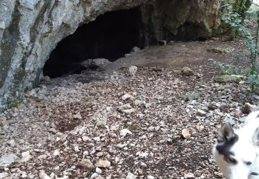 Trail Walking Méjannes-le-Clap - 3 arches d'enfer  - Photo