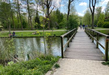 Tour Wandern Mechelen - Malines ouest 18,3 km - Photo