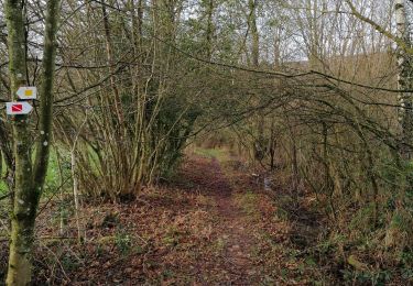 Trail Walking Ferrières - Promenade de Burnontige - Photo