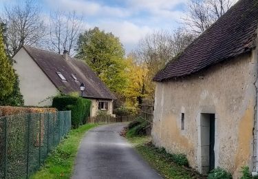 Percorso Marcia Berd'huis - SityTrail - Berd'huis - Saint-Cyr-la-Rosière via Préaux-du-Perche 12 km - Photo