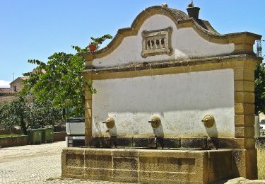 Excursión A pie Izeda, Calvelhe e Paradinha Nova - Entre as ribeiras da Veiga e de Vilalva, à descoberta dos olivais - Photo