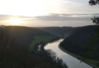 Tour Wandern Dinant - La promenade de freyr. - Photo