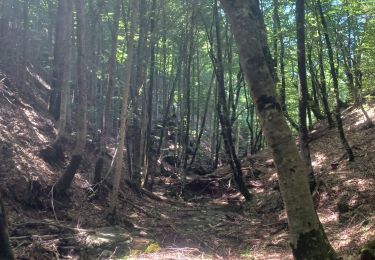 Tour Wandern Faucon-du-Caire - FAUCON DU CAIRE  RAVIN DE L ECHELLE . CRETES DES ROUYERES  - Photo