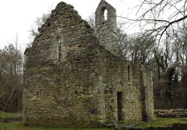 Tour Reiten Achères-la-Forêt - sud 1-2 - Photo