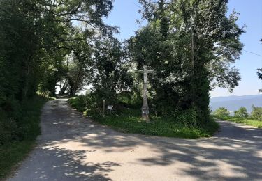 Tour Reiten Chainaz-les-Frasses - saint Ours 14.07.2019 - Photo