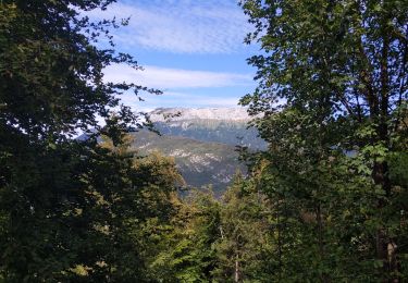 Tocht Stappen Annecy - Belvédère mont Baron - Photo