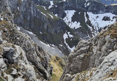 Tour Wandern Bernex - DENT D'OCHE ET LAC D'ARBON - Photo