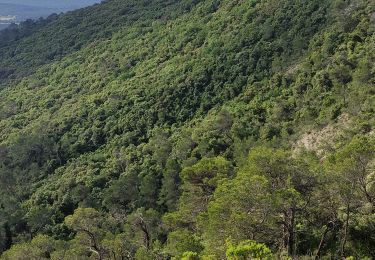 Tocht Stappen Lauret - Lauret - Rocher du Causse - Moulin de Lafous - Lauret - Photo