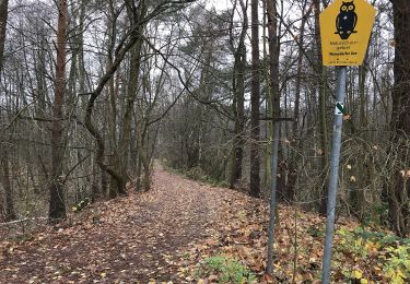 Excursión A pie Königs Wusterhausen - Wanderlehrpfad um den Wernsdorfer See - Photo