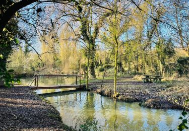 Percorso Marcia Oupeye - Histoire d'eau - la gravière Brock et le Hemlot à Oupeye - Photo