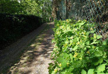 Trail On foot Chaumont-Gistoux - #200506 - Gistoux, Bonlez, Sentier du Champ des Goffes, Bloquia **** - Photo