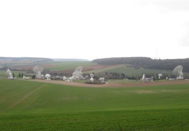 Tocht Stappen Vauchassis - Foret communale de Vauchassis - Photo