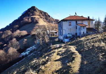 Tocht Te voet Como - (SI D10N) Como (Monte Olimpino) - Rifugio Prabello - Photo