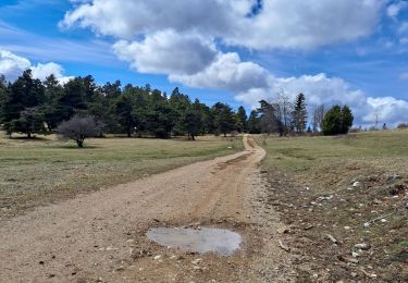 Trail Walking Sigottier - Le Duffre - Photo