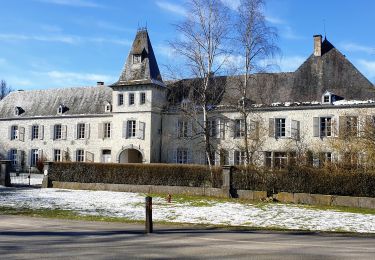 Tour Wandern Rochefort - Belvaux - Resteigne - Photo