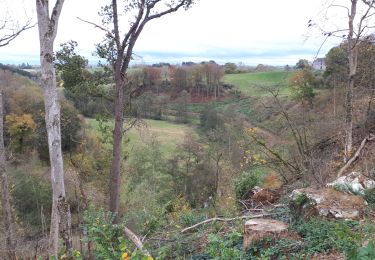 Trail Walking Clavier - Les Avins - vallée du Hoyoux - Photo