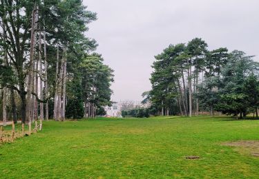 Trail Walking Paris - Les balcons brumeux des Hauts de Seine - Photo