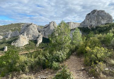 Tour Wandern Orgon - Orgon la vallée heureuse  - Photo