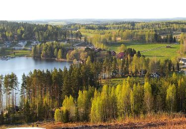 Excursión A pie Viitasaari - Savivuoren luontopolku - Metsän tuulahdus - Photo