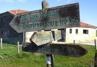 Tocht Te voet Coimères - Les Hounts : boucle locale - Photo