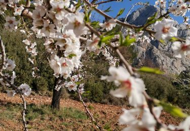 Randonnée Marche Saint-Marc-Jaumegarde - Bimon-La croix de Provence - Photo