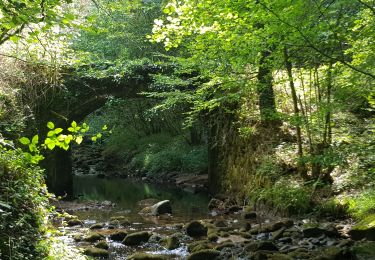 Trail Walking Espagnac - 20190813 promenade transcorerrezien via Espagnac - Photo