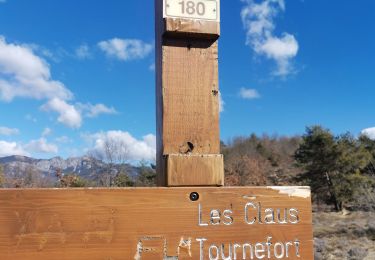 Trail Walking Tournefort - tournefort  - Photo