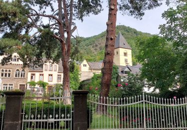 Randonnée Marche Moselkern - ringelsteiner muhle vers village Moselkern  - Photo