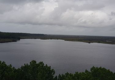 Randonnée Marche Lacanau - casseau - Photo