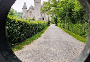 Excursión Senderismo Houyet - Promenade vers le Château de Vêves  - Photo