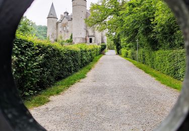 Tour Wandern Houyet - Promenade vers le Château de Vêves  - Photo