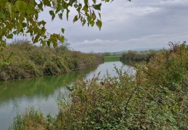 Trail Walking Montélimar - Gournier Châteauneuf-du-Rhône 10km. - Photo