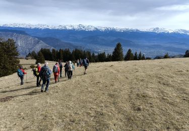 Trail Walking Engins - engins fournel tour du sornin - Photo