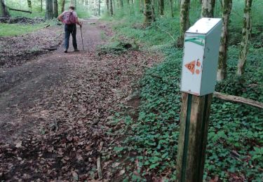 Trail Walking Thin-le-Moutier - Froidmont 21 - 07-2022 - Photo