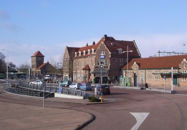 Randonnée A pied Deventer - WNW Salland - Deventer/De Worp - oranje route - Photo