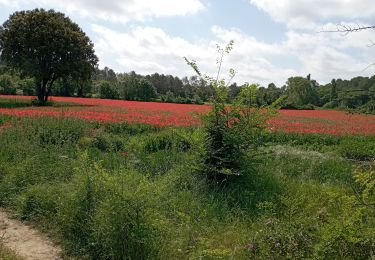 Tour Wandern Souvignargues - Souvignargues le 12 05 2022 - Photo