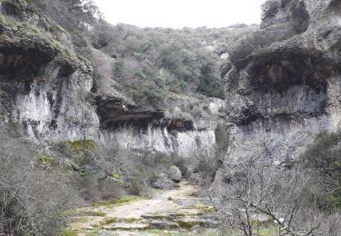 Excursión Senderismo Gordes - 84 Gorges de la Veroncle - Photo