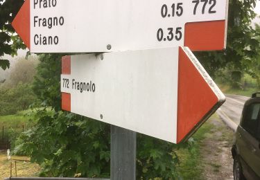 Tour Zu Fuß Calestano - Calestano - Fragno - Fragnolo - Percorso 773 - Photo