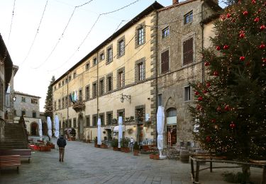 Tocht Te voet Santa Fiora - Santa Fiora - Anello dell'Amiata - Photo