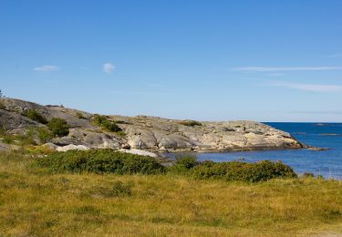 Trail On foot  - Nordkoster Orange slinga - Photo