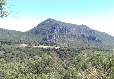 Tour Wandern Mourèze - Mourèze - Crète de Liausson - Photo