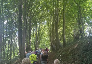 Trail sport Sprimont - Roger - Photo