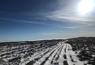 Tour Wandern Valcivières - Monthiallier montée  - Photo