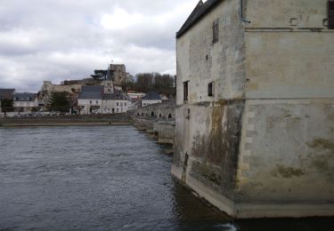 Tour Wandern Saint-Georges-sur-Cher - 2015 10 18 - Saint-Georges-sur-Cher - Montrichard - boucle - Photo