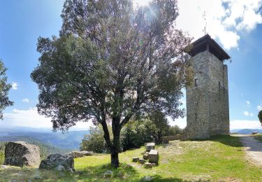 Trail On foot Vernon - Vernon: La Tour de Brison. 20km - Photo