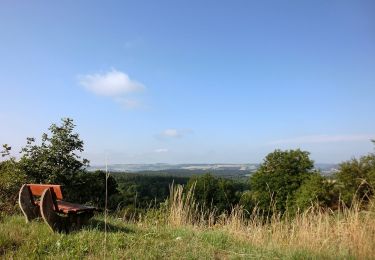 Tour Zu Fuß Wirsberg - Schmetterlingsweg KU 11 - Photo