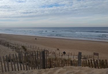 Randonnée Vélo de route Lège-Cap-Ferret - Arcachon4 - Photo