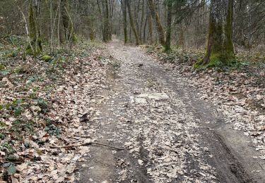 Randonnée Marche Sillingy - Montagne d’âge par le bord côté NONGLARD - Photo